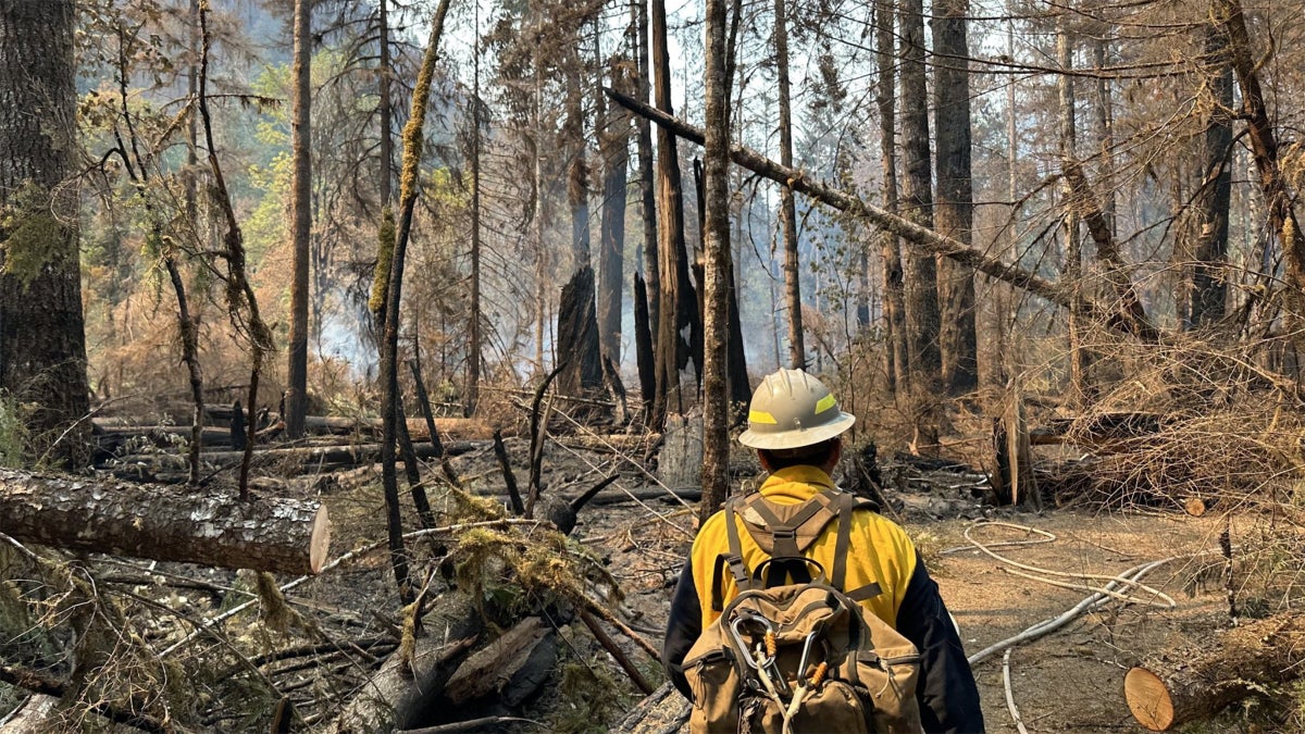 Immigration Agents Arrested Two Firefighters Battling a Wildfire in Washington