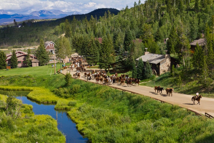 C Lazy U Ranch