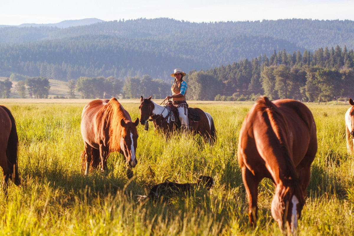 7 of the Wildest Cowboy Core Vacations in the U.S.