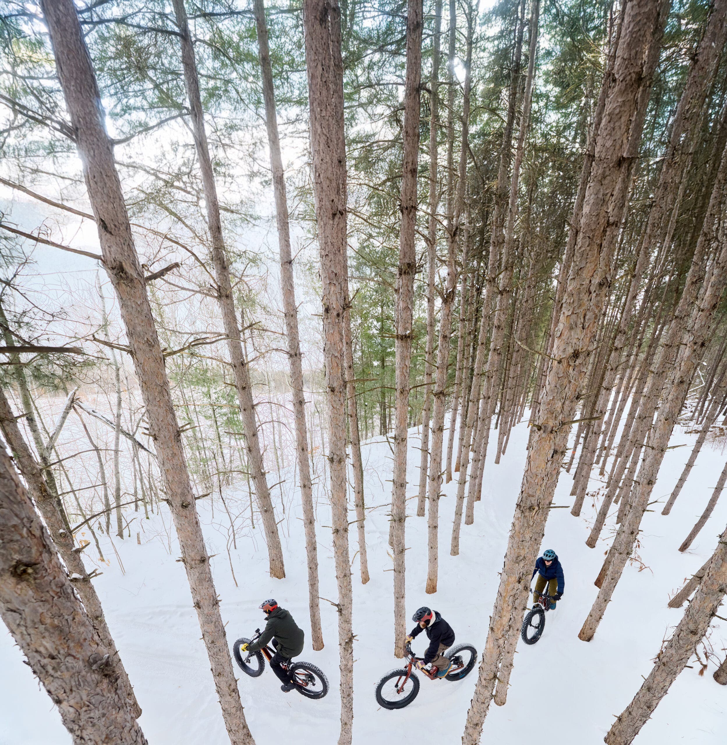 Fat Biking in Cuyuna Country State Recreation Area.
