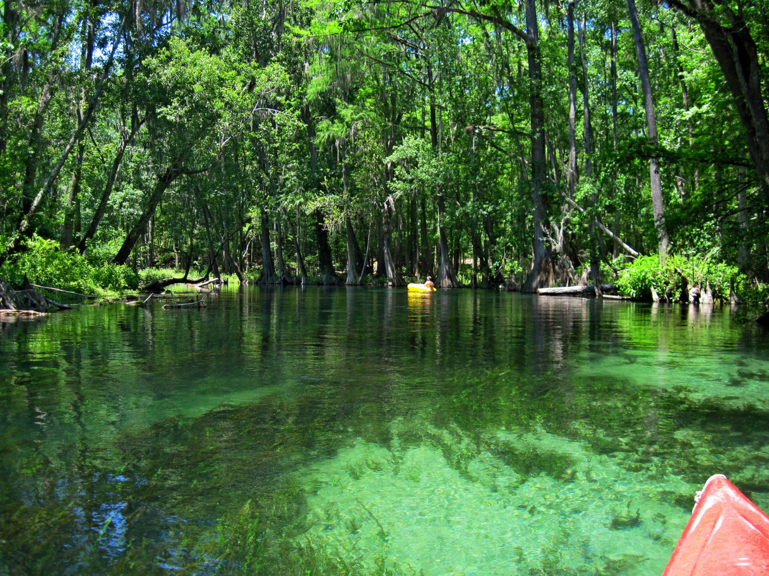 Ichetucknee River, Ichetucknee Springs State Park, Florida.