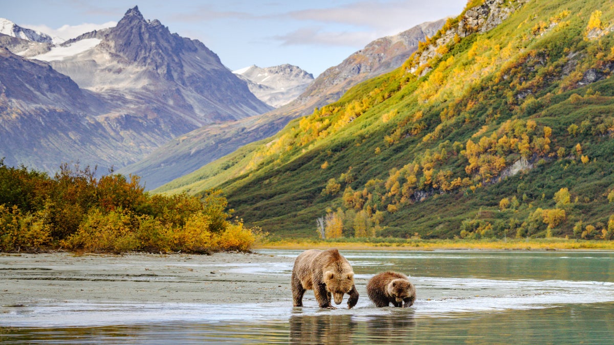 In Separate Attacks, Two Hikers Fend Off Bears with Easy-to-Carry Deterrent