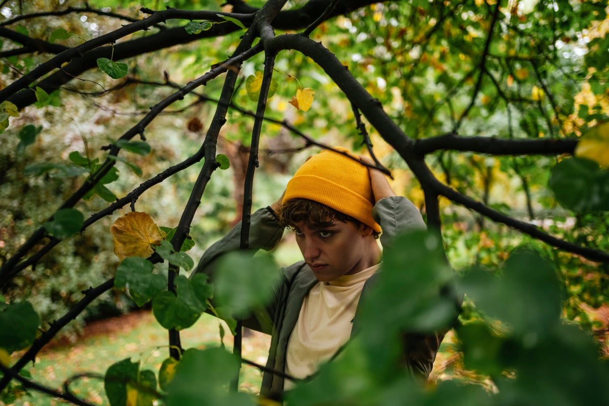 The Leaves Are Changing Early This Fall Thanks to Widespread Drought