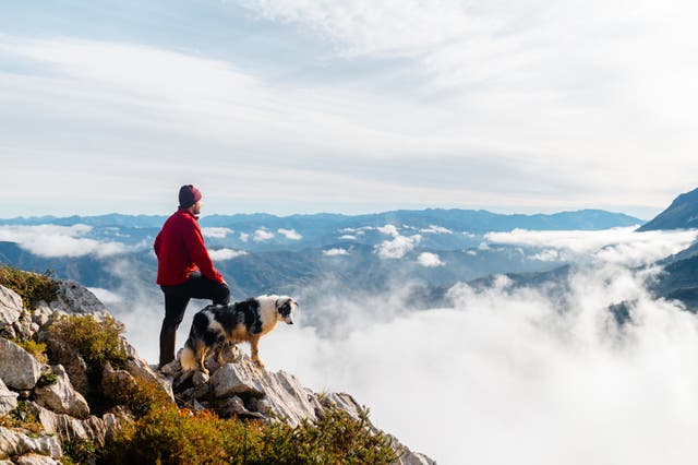 From Backcountry Splitboarding to a Wedding Proposal, These Are Our Favorite Outdoor Adventures with Our Very Good Dogs
