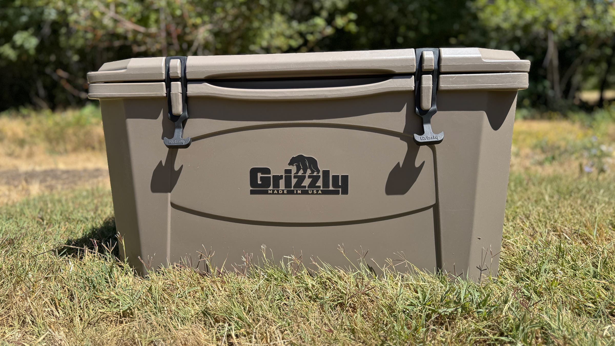 Grizzly