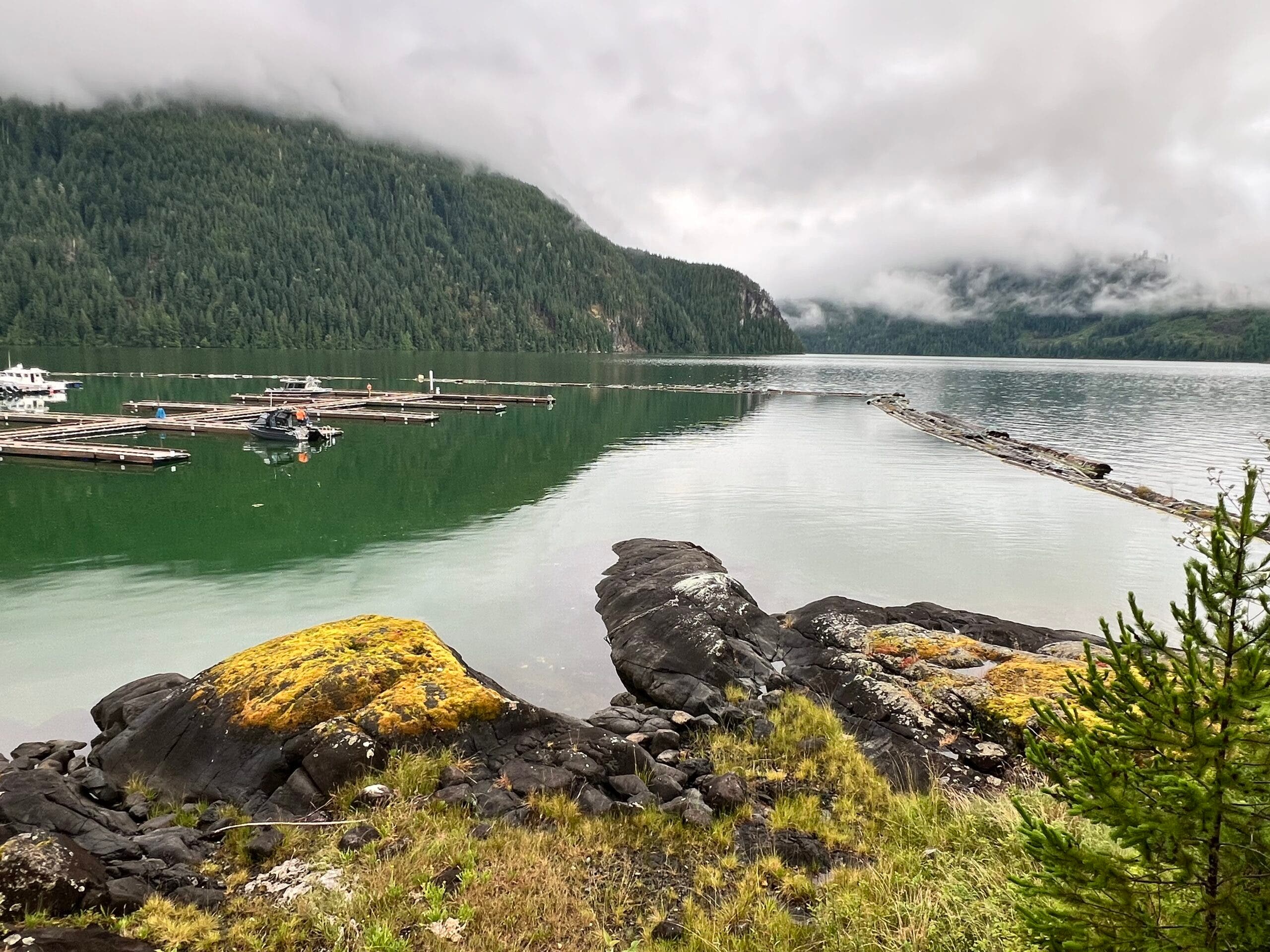 Newton Cove Resort is a floating wilderness resort tailored to anglers. 