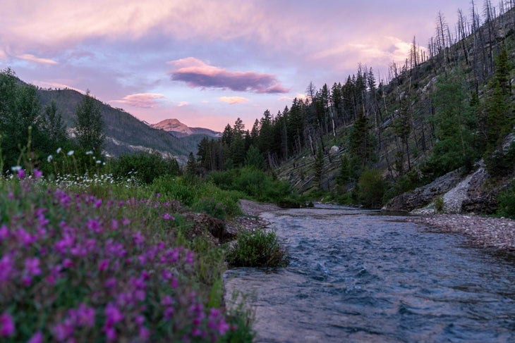 Wandering Waterways