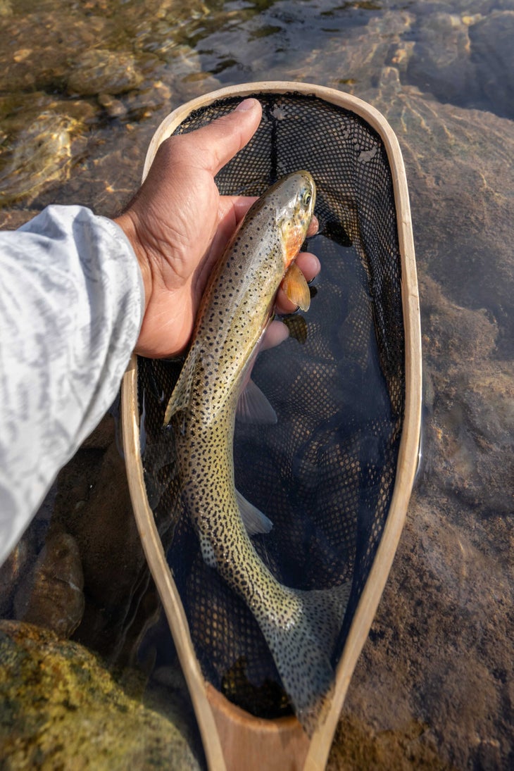 Fly-Fishing