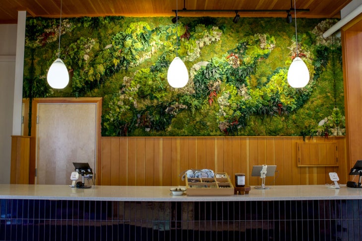 the moss wall at Maine Beer Co.