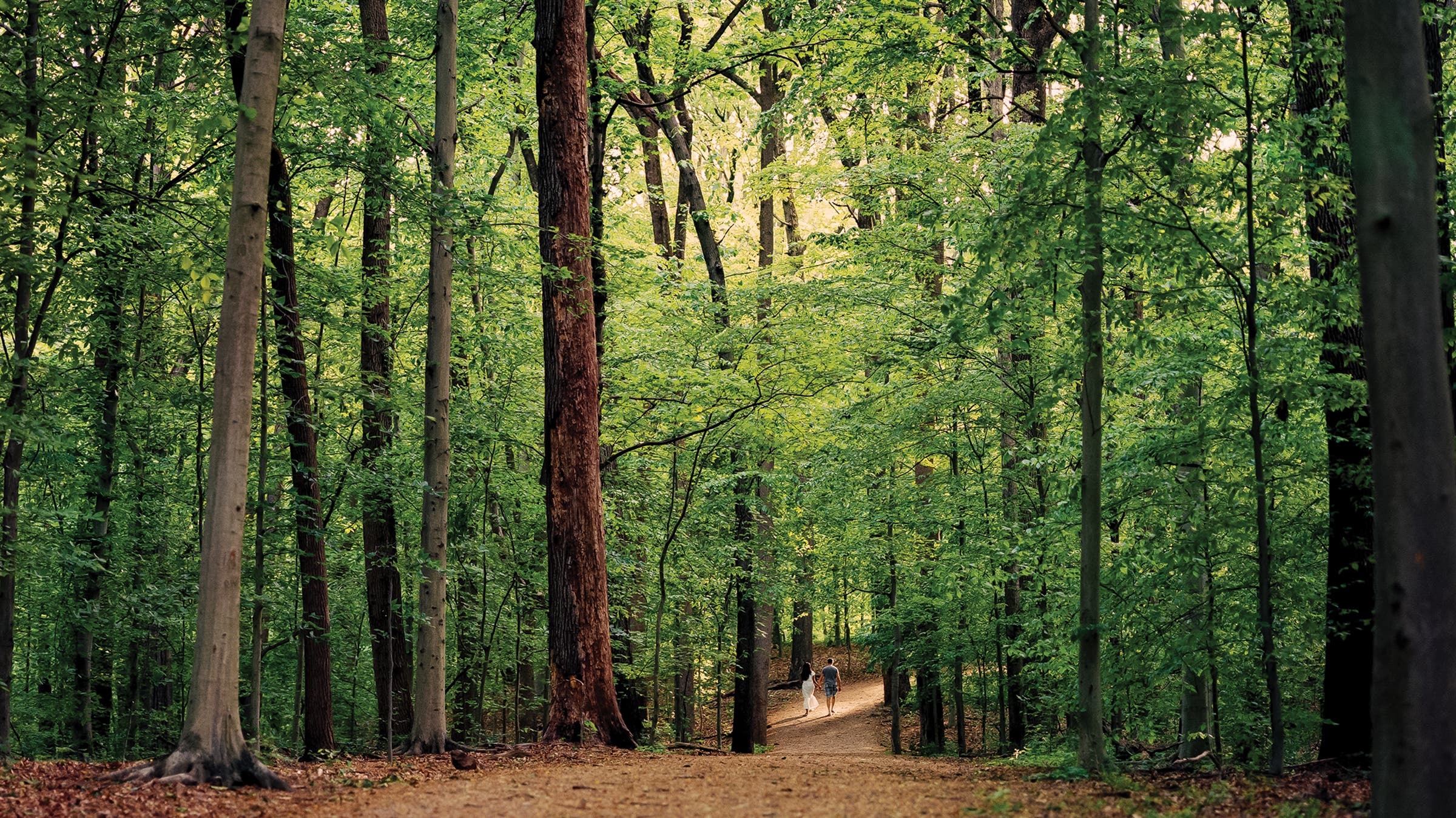 Visitors walk along an equestrian trail in Rock Creek Park in Washington, D.C.
