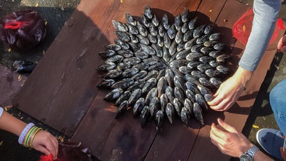 adding mussels to a table