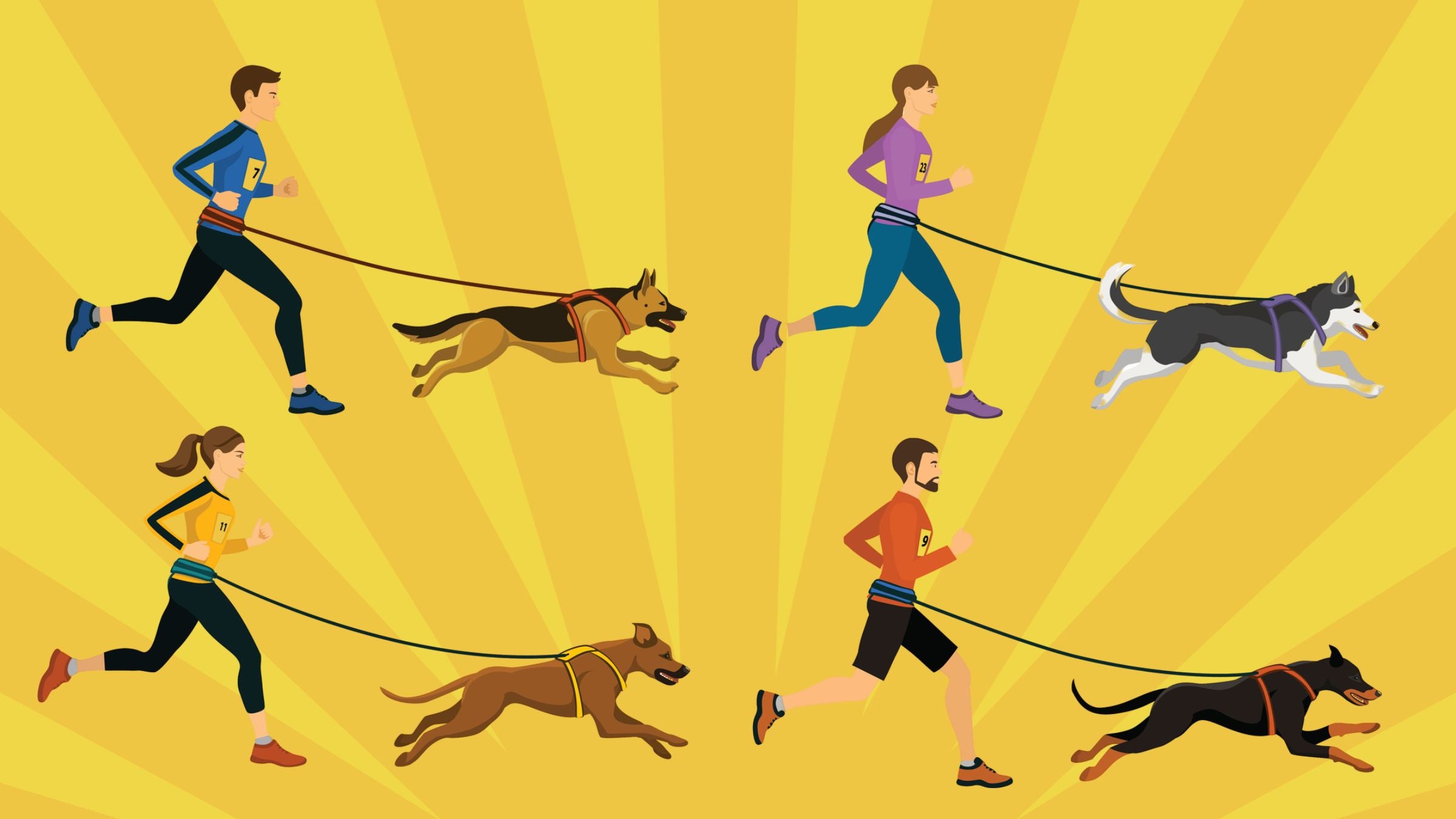 four people and four dogs running