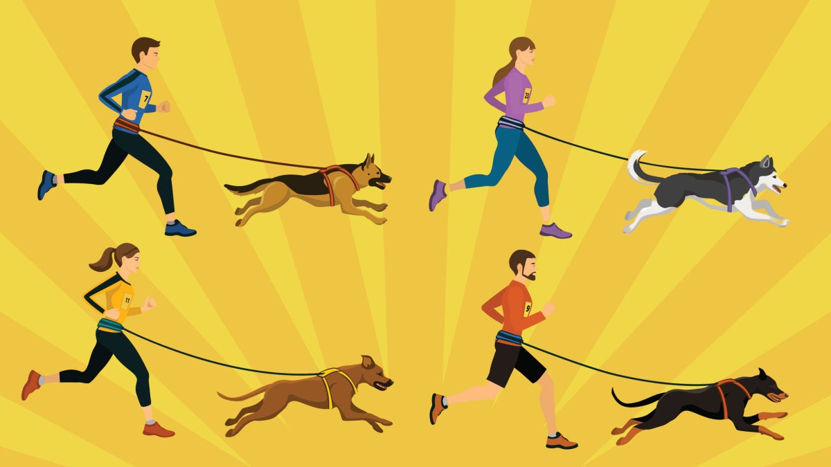 How Canicross Saved My Relationship with My Unruly Rescue Dog