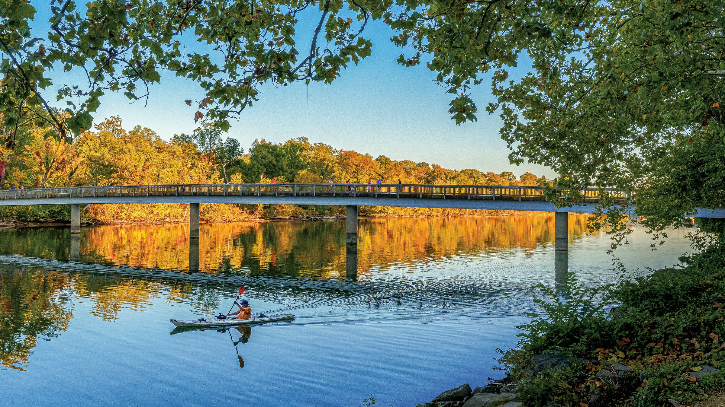 WASHINGTON, DC - OCTOBER 19: The bridge from Roosevelt Island frames the trees beginning to turn fall colors on the island as a kayaker paddles a section of the Potomac River on October 19, 2024, in Washington, DC.