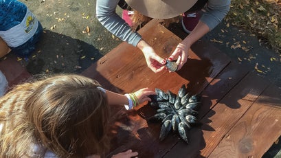 people setting up mussels for an eclade de moules