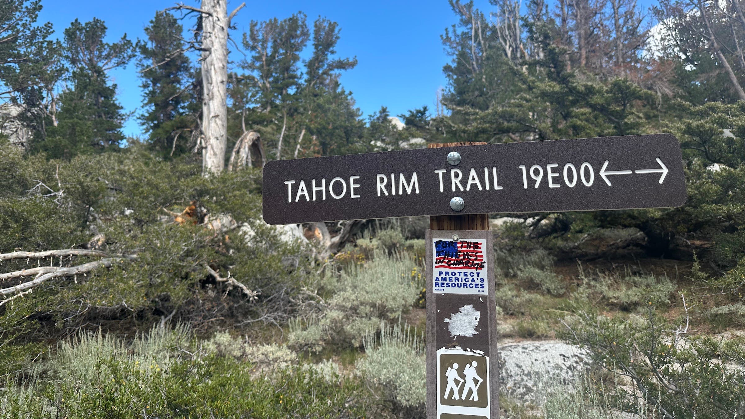 sign for the Tahoe Rim Trail against blue sky