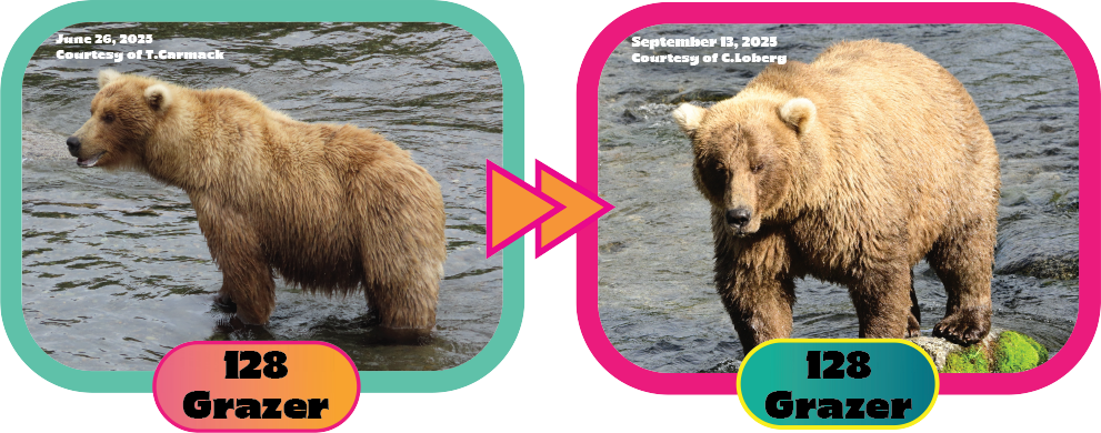 128 grazer at the beginning of summer and the end of summer for FBW 2025