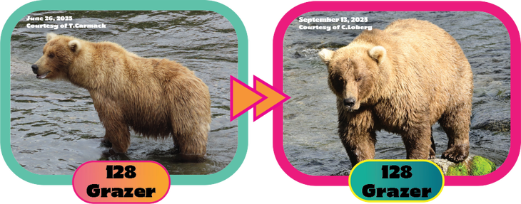 128 grazer at the beginning of summer and the end of summer for FBW 2025