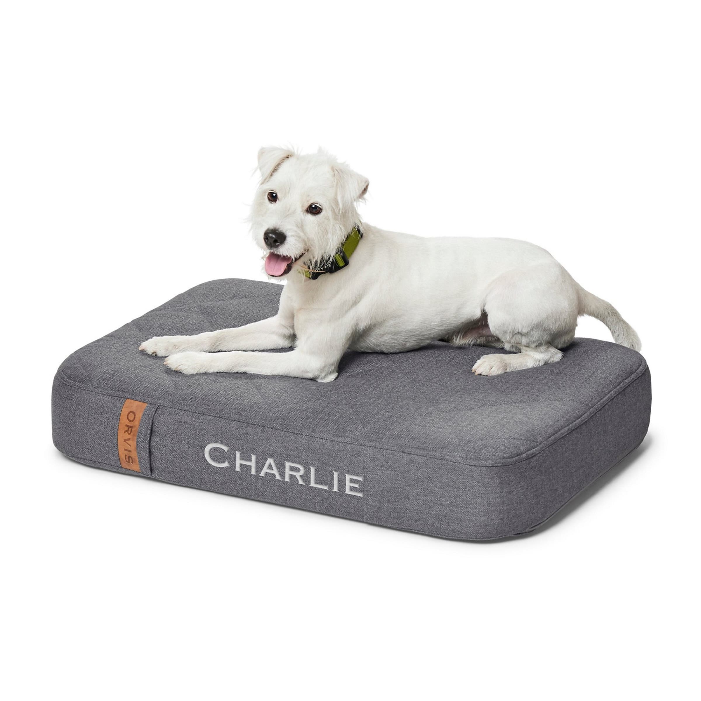 white dog on gray dog bed