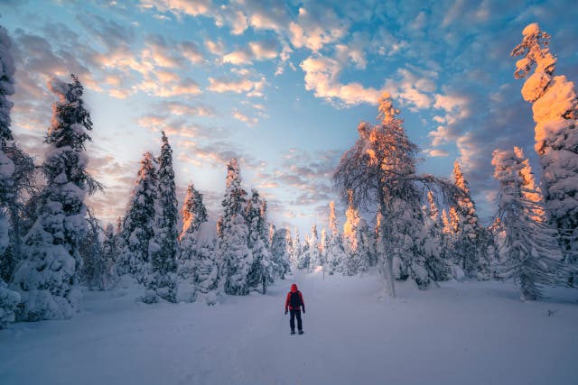 These States Will See the Coldest Weather This Winter