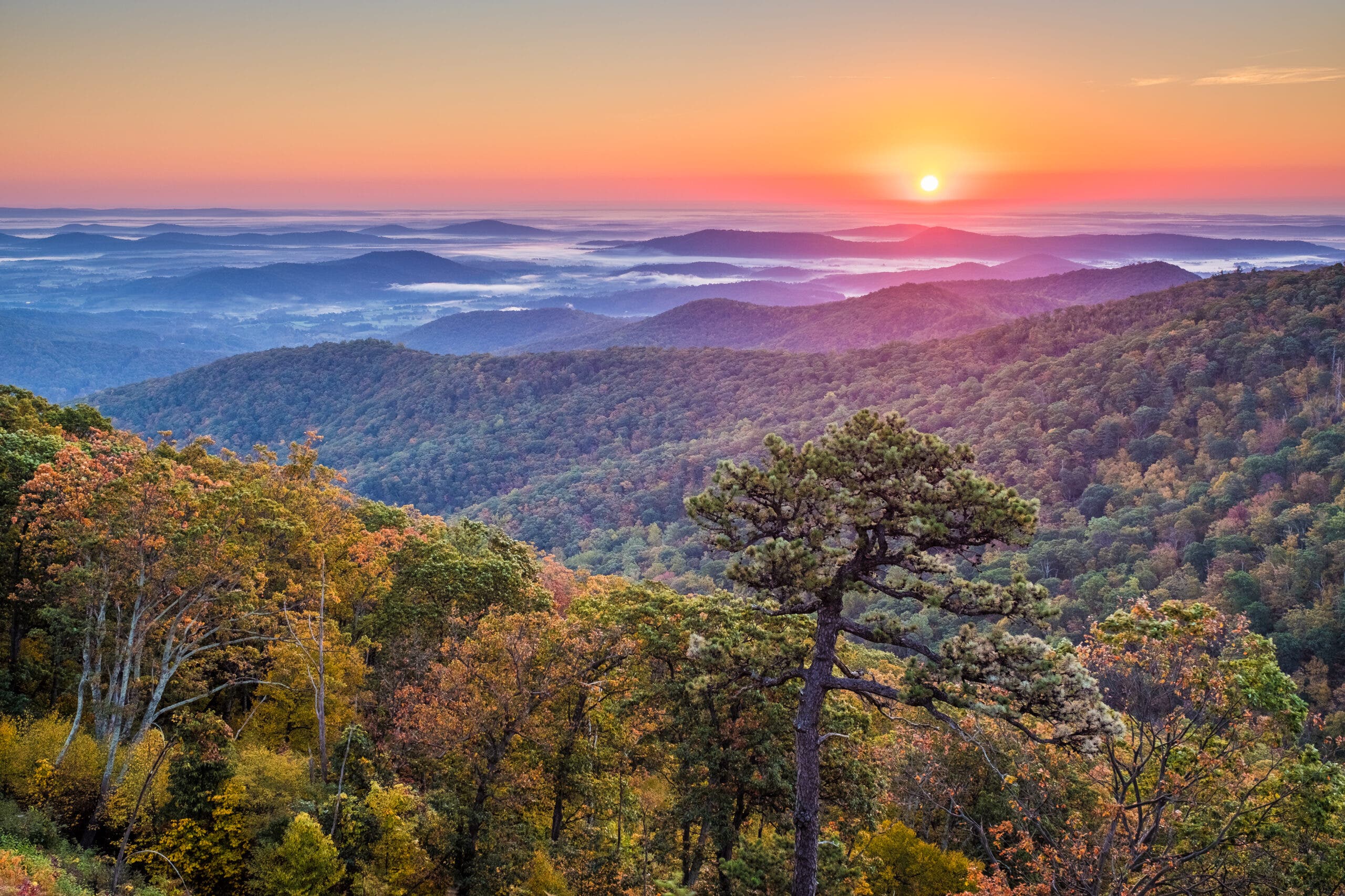 Autumn sunrise in Shenandoah National Park