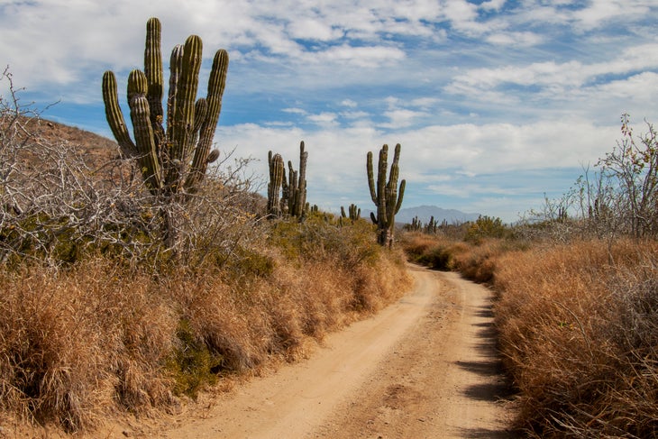 Baja California