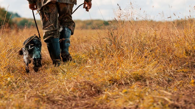 If You’re Hiking During Hunting Season, You Need to Follow These Safety Tips