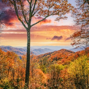 Smoky Mountain National Park in Tennessee in Autumn