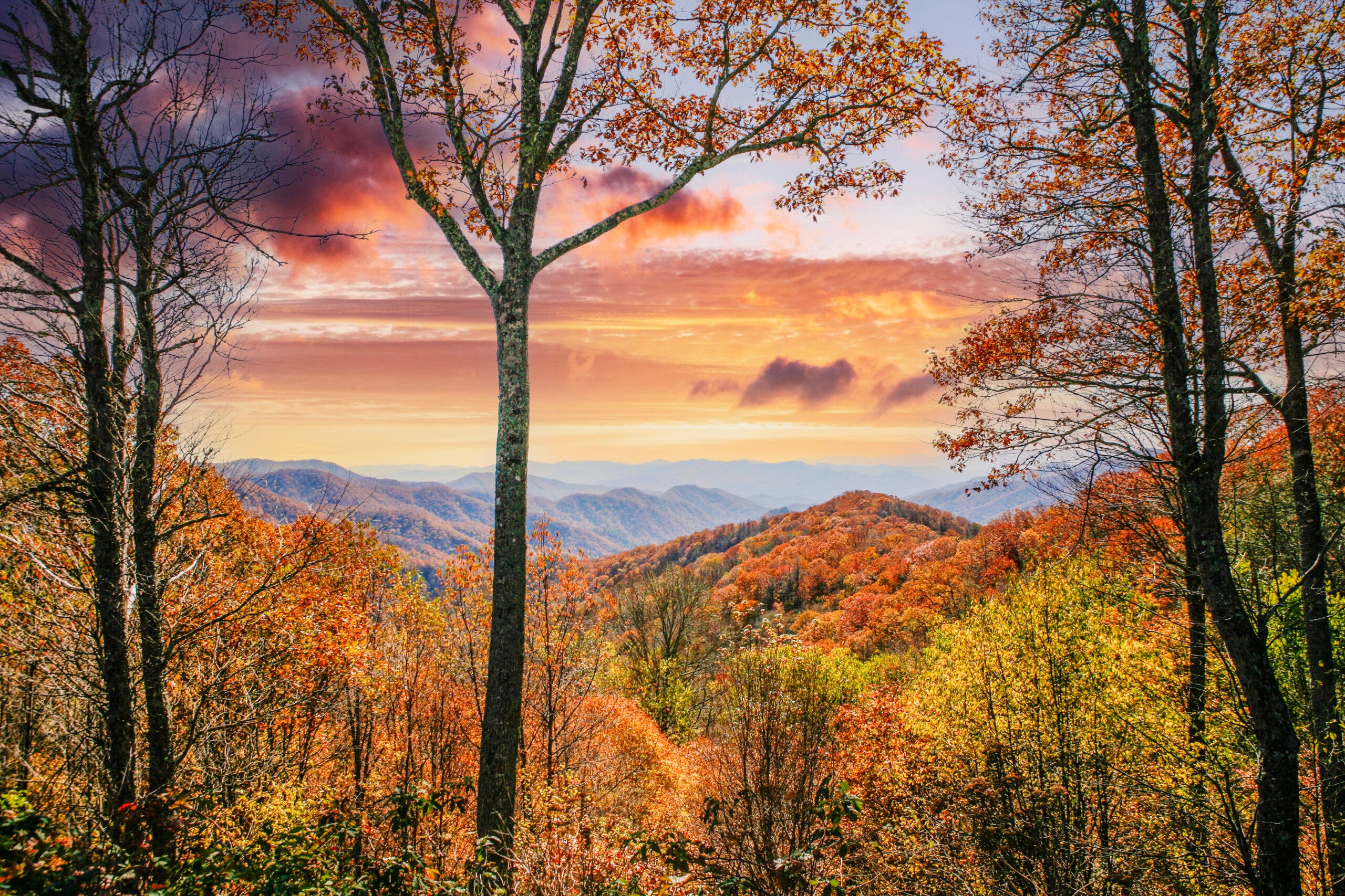 Smoky Mountain National Park in Tennessee in Autumn