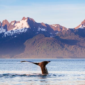 alaska brand new island