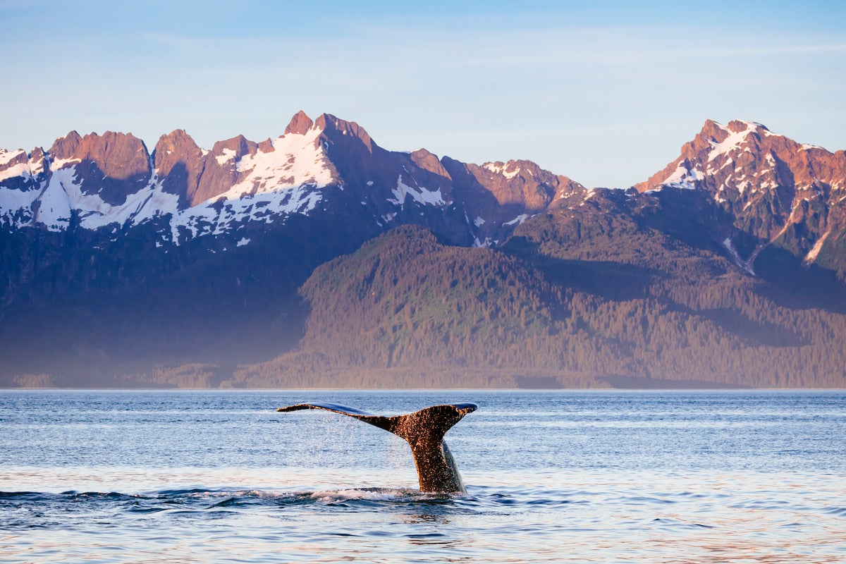 A ‘Brand New’ Island Was Just Recorded in Alaska