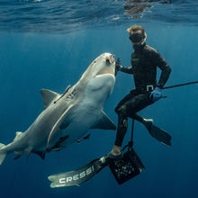Shark diver Tanner Mansell dives with a shark