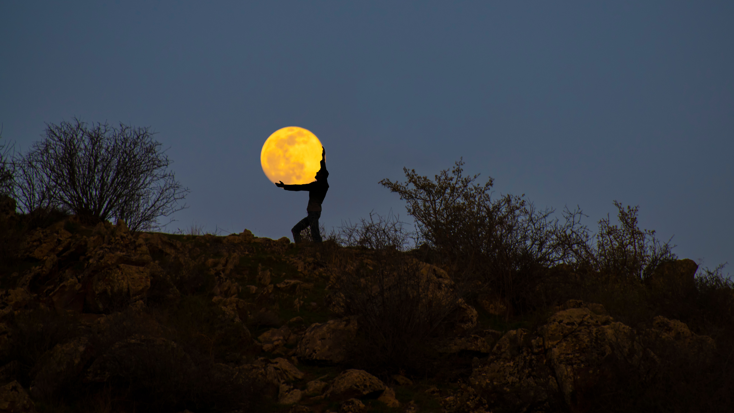 full moon hikes