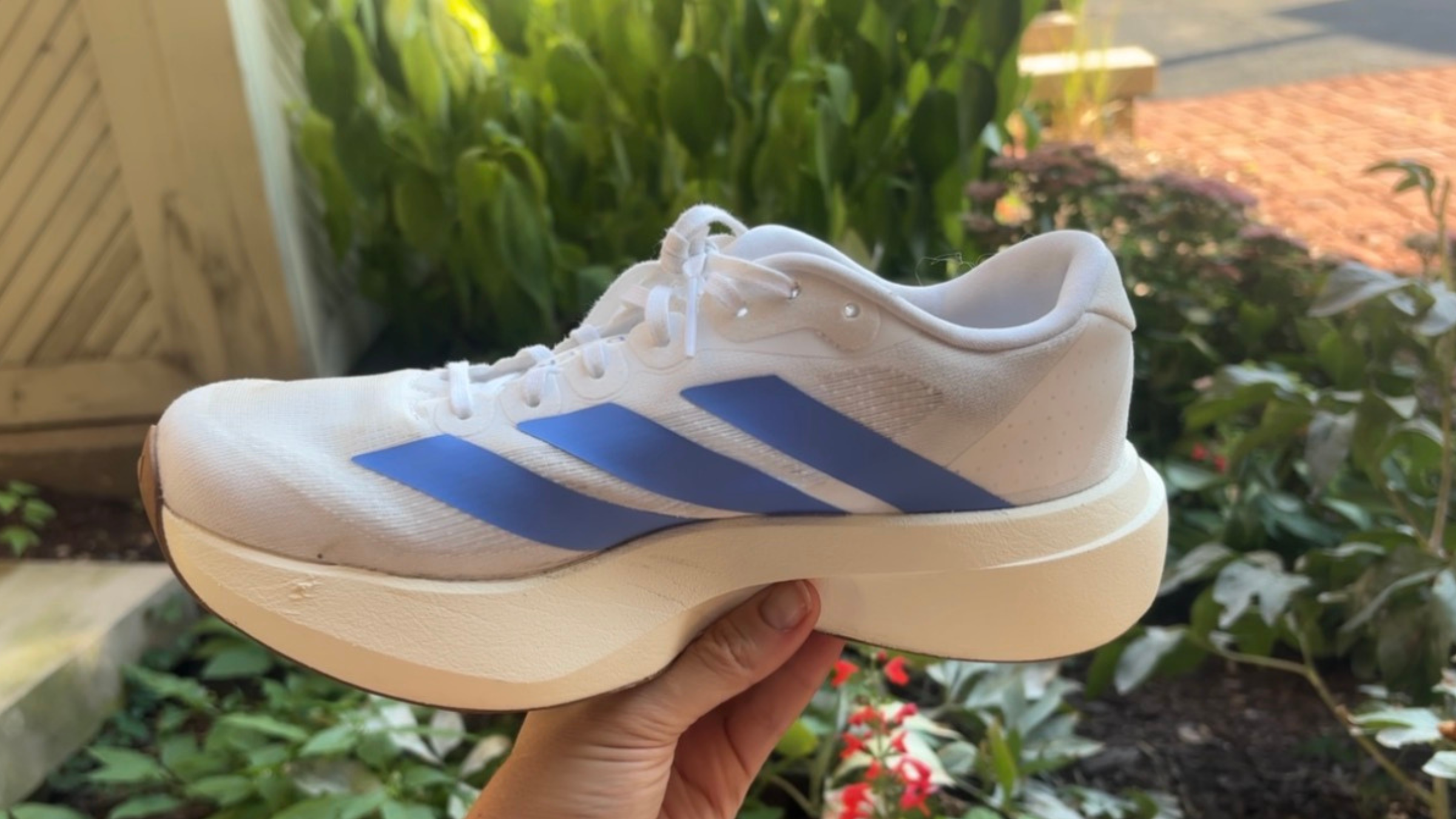 adidas evo sl training shoe