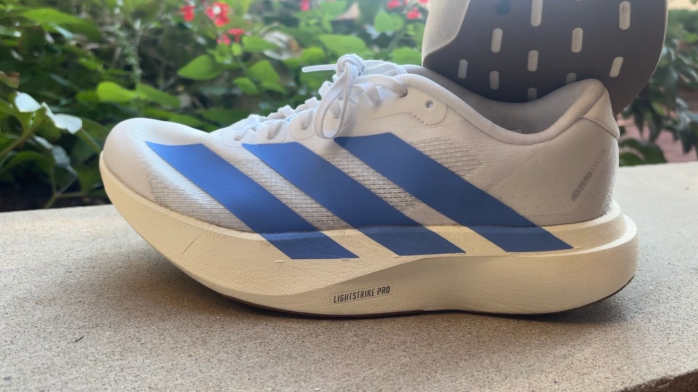 adidas evo SL running shoe