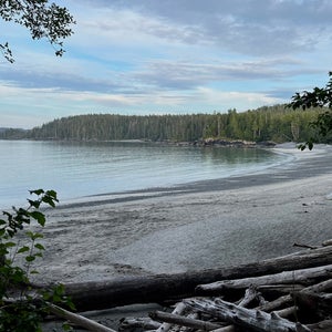 remote coast with woods