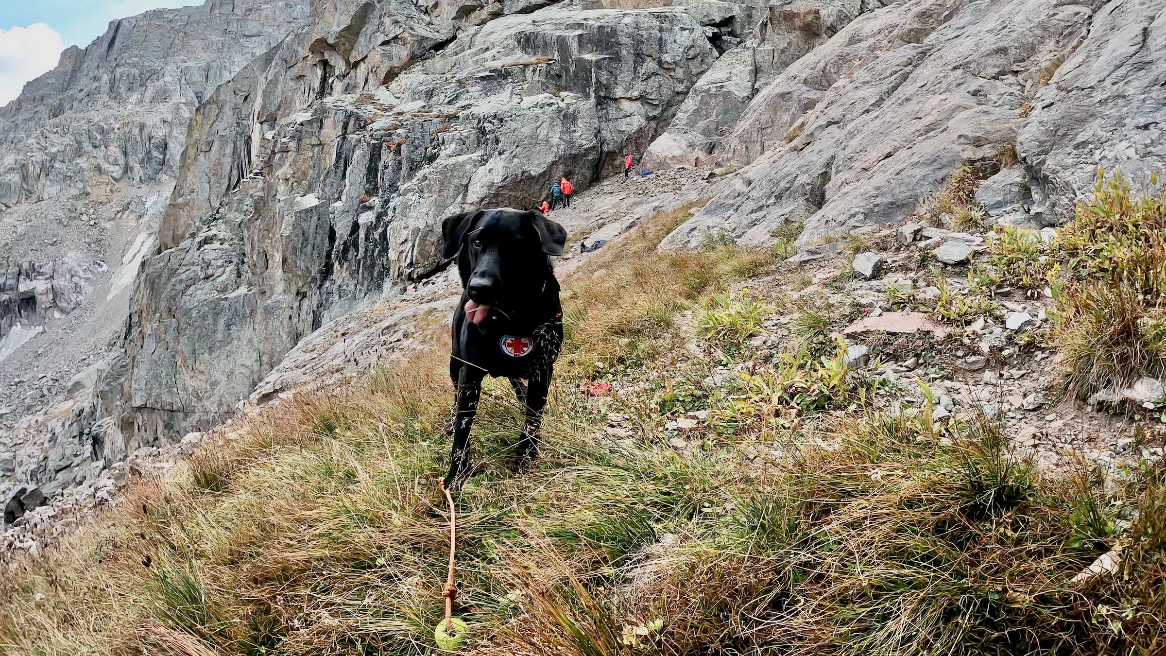 Stryker at the recovery site