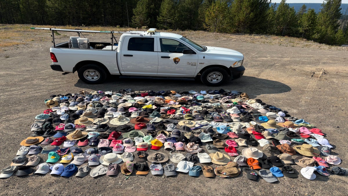 What’s the Latest Threat to Yellowstone’s Geysers? Hats.