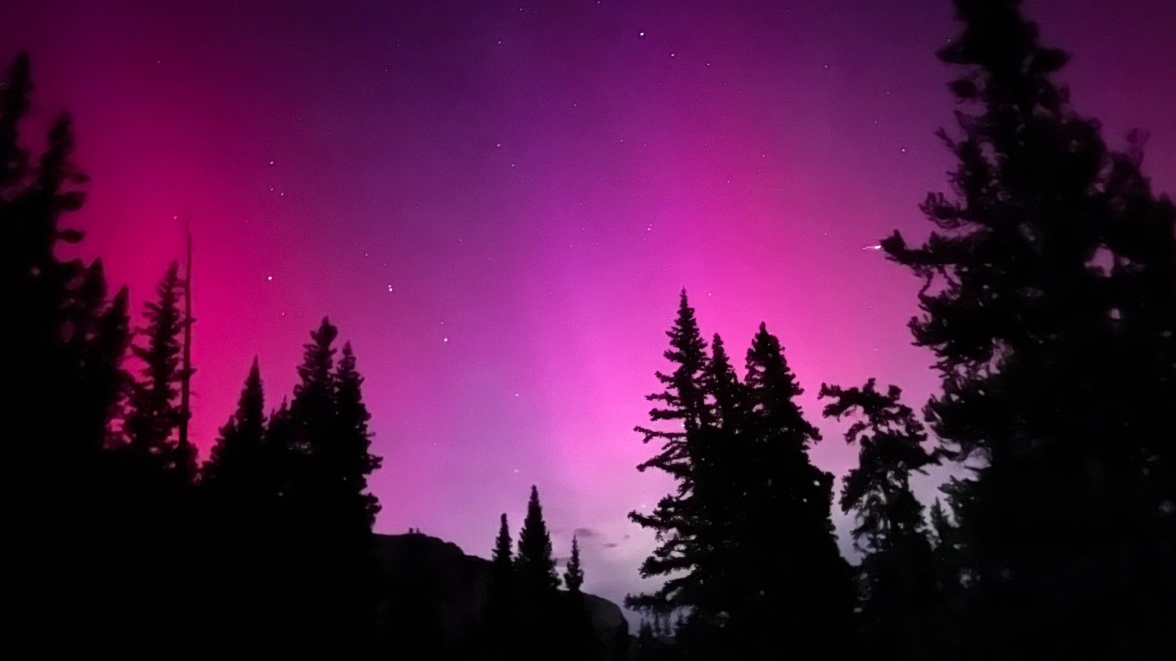 pink sky against dark trees