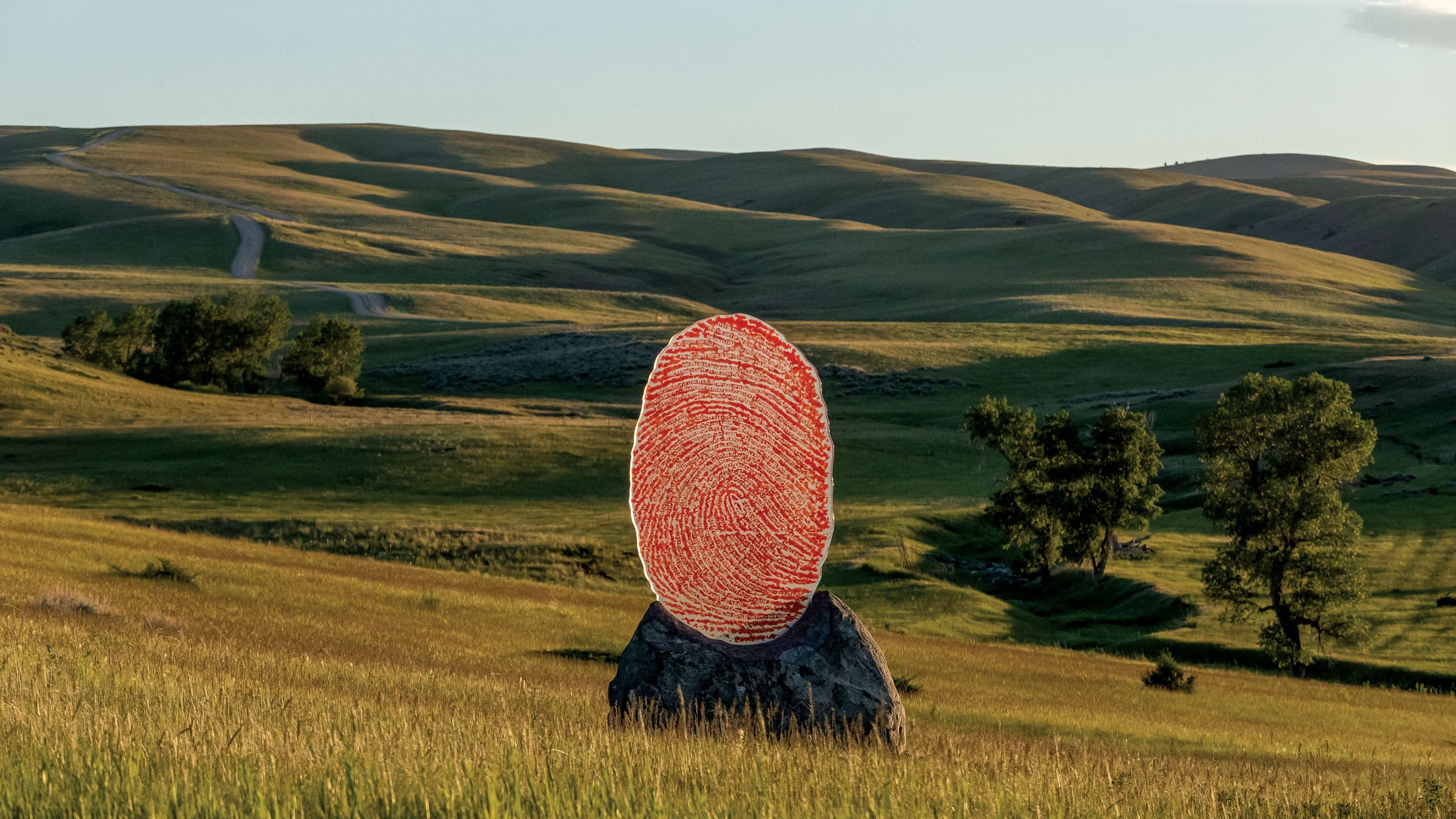 The Soil You See… (2023) by Wendy Red Star