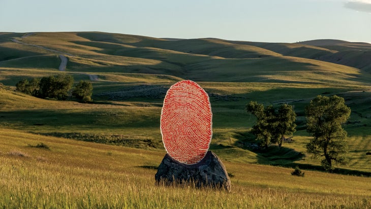 The Soil You See… (2023) by Wendy Red Star