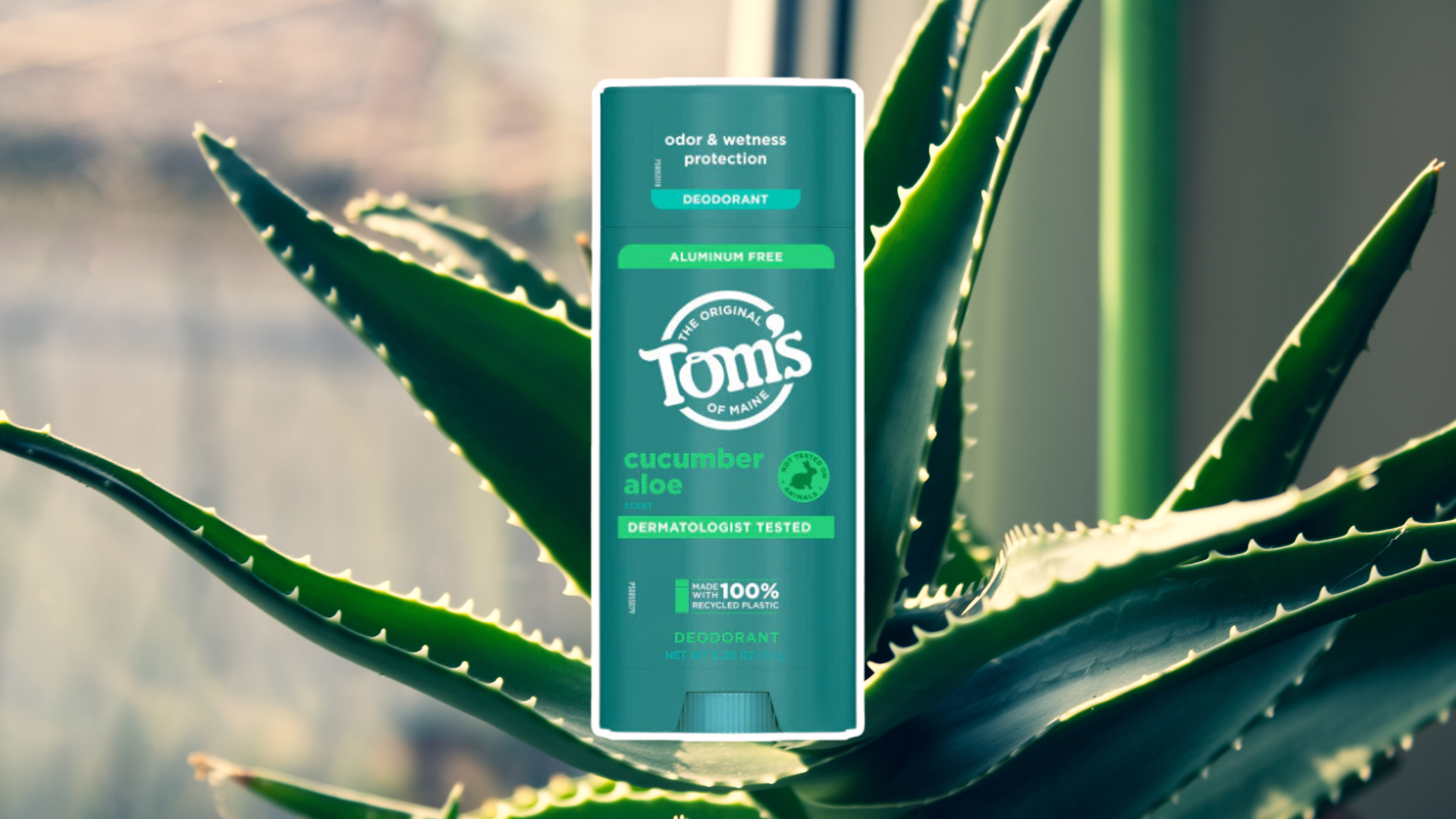 toms of maine deodorant on aloe background
