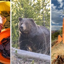 bear attack yellowstone petroglyphs damaged arizona stone skimming competition