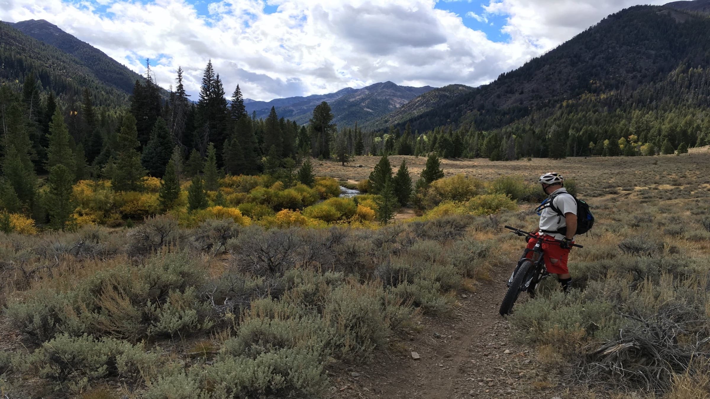 For 13 years, the guys have decompressed after the September 15 tax deadline by mountain biking through the Idaho wilderness