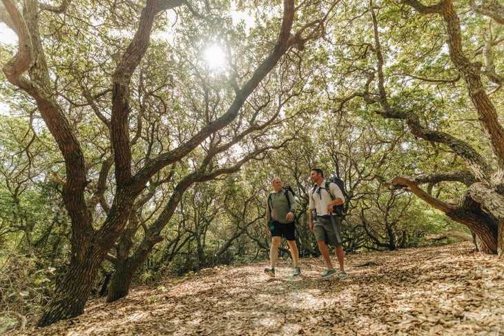 Hiking in False Cape State Park