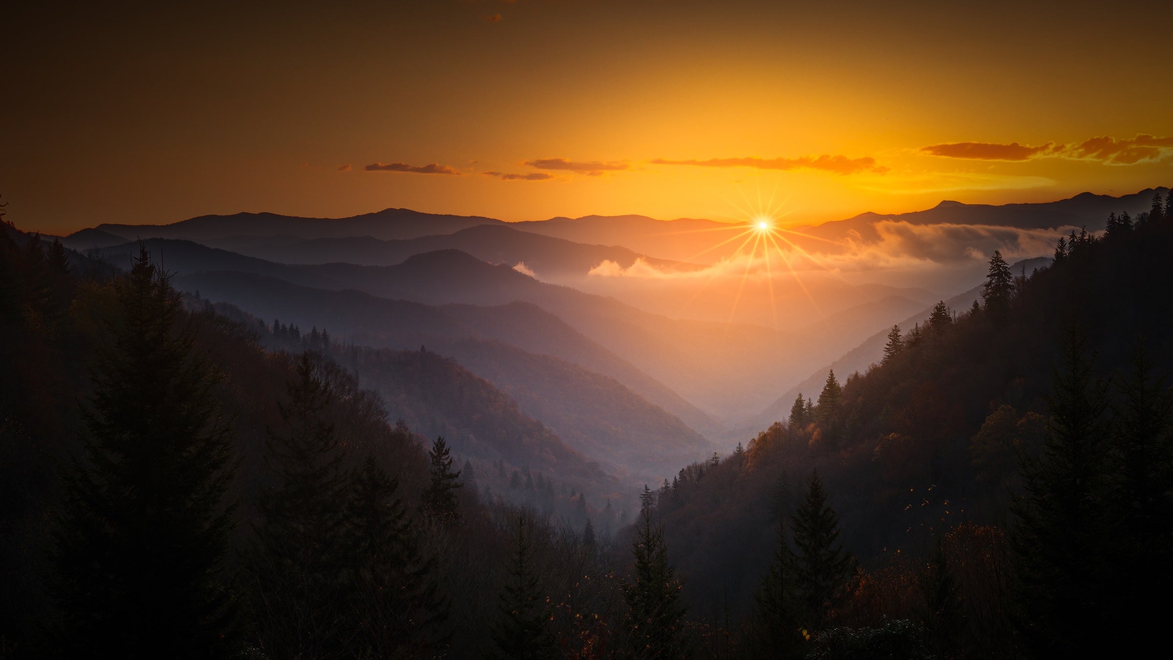 Foliage and a sky at sunrise in the Tennessee Smoky Mountains