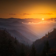 Foliage and a sky at sunrise in the Tennessee Smoky Mountains