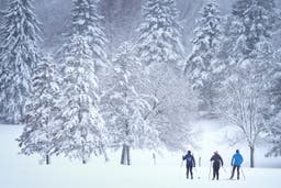 These Will Be the Snowiest Cities This Winter