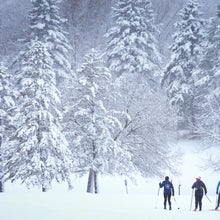 Winter storm, Minneapolis