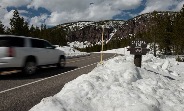 A Snowstorm Hit Yellowstone. Chaos Ensued.